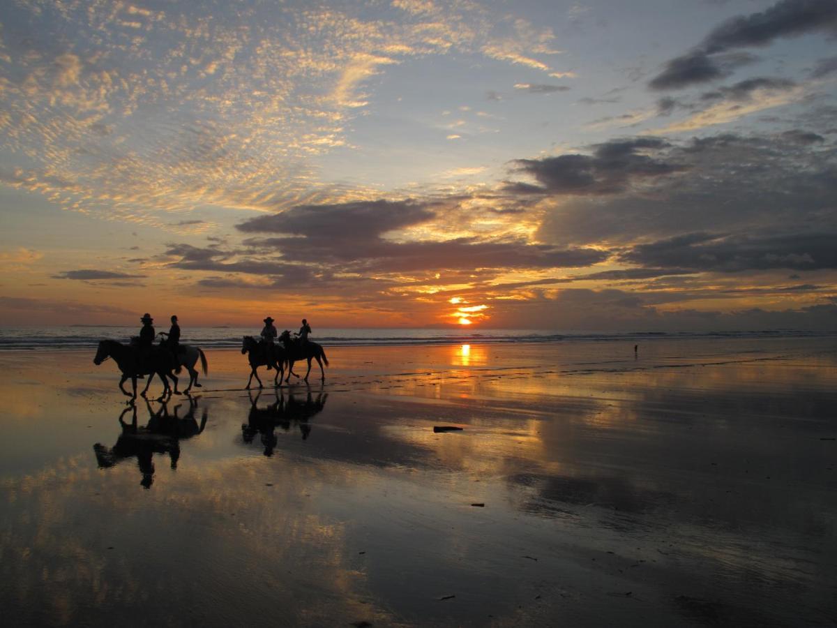 Las Lajas Beach Resort المظهر الخارجي الصورة